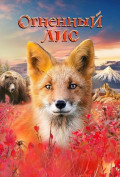 Огненный лис Огненный лис